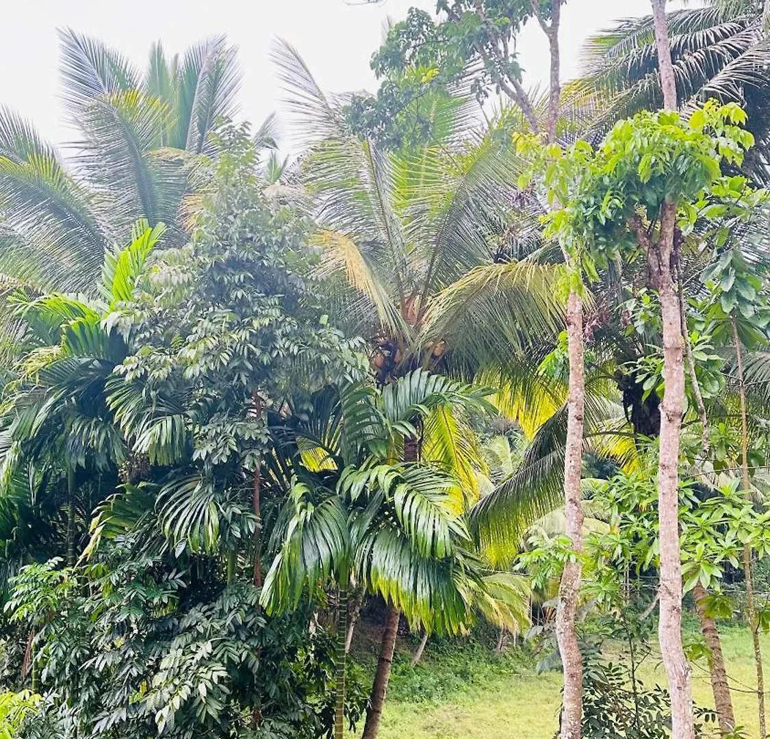 Hill Top Villa Kandy Holiday home